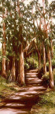 Eucalyptus Trail