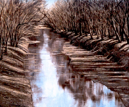 Light-Striped Riverbed