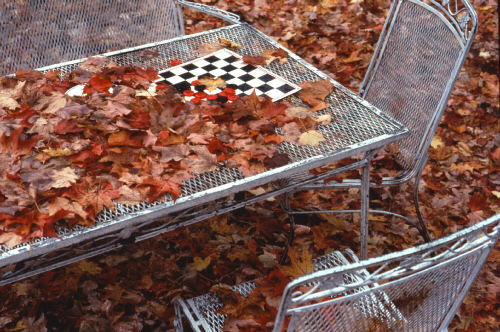 Photograph - Abandoned Checkerboard