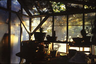 Photograph - Autumn Greenhouse