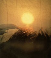 Photograph - Sun Wave