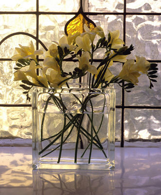 Photo - Sunny Freesias